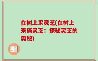 在树上采灵芝(在树上采摘灵芝：探秘灵芝的奥秘)