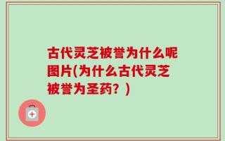 古代灵芝被誉为什么呢图片(为什么古代灵芝被誉为圣药？)