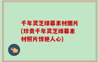 千年灵芝绿幕素材图片(珍贵千年灵芝绿幕素材照片惊艳人心)