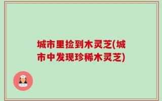 城市里捡到木灵芝(城市中发现珍稀木灵芝)