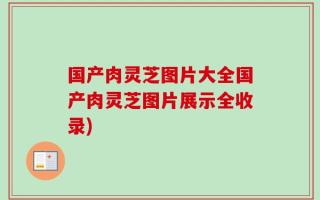国产肉灵芝图片大全国产肉灵芝图片展示全收录)