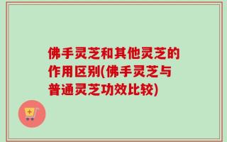 佛手灵芝和其他灵芝的作用区别(佛手灵芝与普通灵芝功效比较)