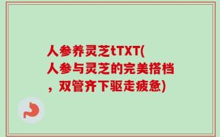人参养灵芝tTXT(人参与灵芝的完美搭档，双管齐下驱走疲惫)