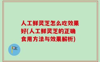 人工鲜灵芝怎么吃效果好(人工鲜灵芝的正确食用方法与效果解析)