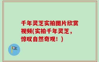 千年灵芝实拍图片欣赏视频(实拍千年灵芝，惊叹自然奇观！)