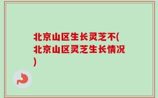 北京山区生长灵芝不(北京山区灵芝生长情况)
