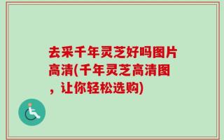 去采千年灵芝好吗图片高清(千年灵芝高清图，让你轻松选购)