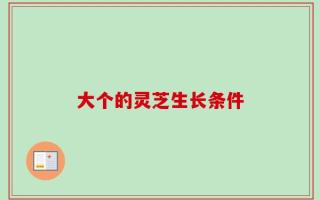 大个的灵芝生长条件