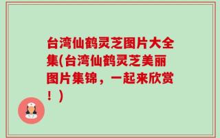 台湾仙鹤灵芝图片大全集(台湾仙鹤灵芝美丽图片集锦，一起来欣赏！)