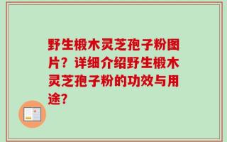 野生椴木灵芝孢子粉图片？详细介绍野生椴木灵芝孢子粉的功效与用途？