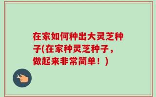 在家如何种出大灵芝种子(在家种灵芝种子，做起来非常简单！)