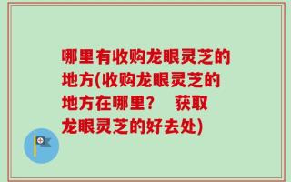 哪里有收购龙眼灵芝的地方(收购龙眼灵芝的地方在哪里？  获取龙眼灵芝的好去处)