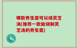 哪款养生壶可以烧灵芝汤(推荐一款能烧制灵芝汤的养生壶)