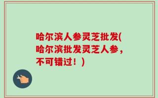 哈尔滨人参灵芝批发(哈尔滨批发灵芝人参，不可错过！)
