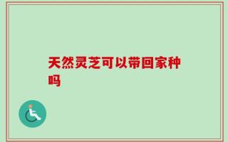 天然灵芝可以带回家种吗