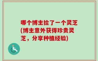 哪个博主捡了一个灵芝(博主意外获得珍贵灵芝，分享种植经验)