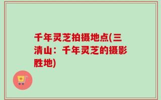 千年灵芝拍摄地点(三清山：千年灵芝的摄影胜地)