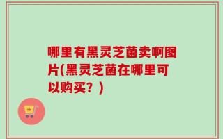 哪里有黑灵芝菌卖啊图片(黑灵芝菌在哪里可以购买？)