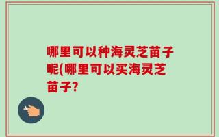 哪里可以种海灵芝苗子呢(哪里可以买海灵芝苗子？