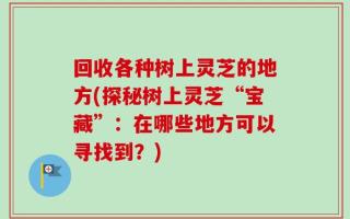 回收各种树上灵芝的地方(探秘树上灵芝“宝藏”：在哪些地方可以寻找到？)