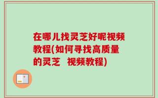 在哪儿找灵芝好呢视频教程(如何寻找高质量的灵芝  视频教程)