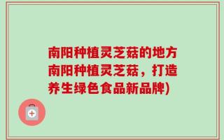 南阳种植灵芝菇的地方南阳种植灵芝菇，打造养生绿色食品新品牌)
