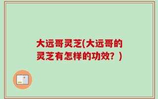 大远哥灵芝(大远哥的灵芝有怎样的功效？)