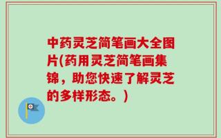 中药灵芝简笔画大全图片(药用灵芝简笔画集锦，助您快速了解灵芝的多样形态。)