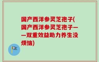 国产西洋参灵芝孢子(国产西洋参灵芝孢子——双重效益助力养生没烦恼)