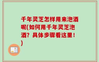 千年灵芝怎样用来泡酒呢(如何用千年灵芝泡酒？具体步骤看这里！)