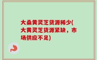 大桑黄灵芝货源稀少(大黄灵芝货源紧缺，市场供应不足)