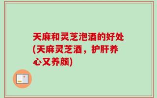 天麻和灵芝泡酒的好处(天麻灵芝酒，护肝养心又养颜)