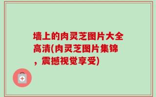 墙上的肉灵芝图片大全高清(肉灵芝图片集锦，震撼视觉享受)