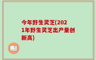 今年野生灵芝(2021年野生灵芝出产量创新高)