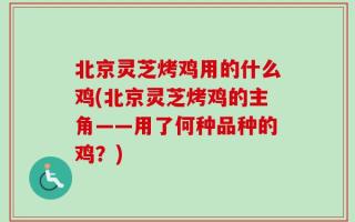 北京灵芝烤鸡用的什么鸡(北京灵芝烤鸡的主角——用了何种品种的鸡？)