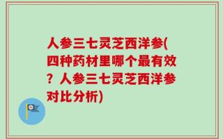 人参三七灵芝西洋参(四种药材里哪个最有效？人参三七灵芝西洋参对比分析)