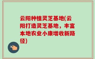 云阳种植灵芝基地(云阳打造灵芝基地，丰富本地农业小康增收新路径)