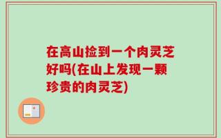在高山捡到一个肉灵芝好吗(在山上发现一颗珍贵的肉灵芝)