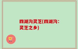 四湖沟灵芝(四湖沟：灵芝之乡)