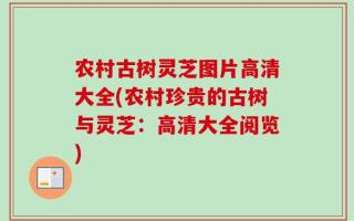 农村古树灵芝图片高清大全(农村珍贵的古树与灵芝：高清大全阅览)