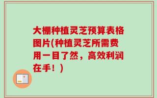 大棚种植灵芝预算表格图片(种植灵芝所需费用一目了然，高效利润在手！)
