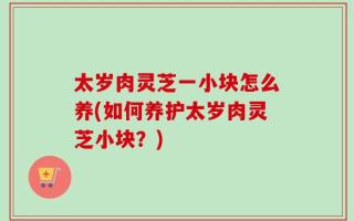太岁肉灵芝一小块怎么养(如何养护太岁肉灵芝小块？)