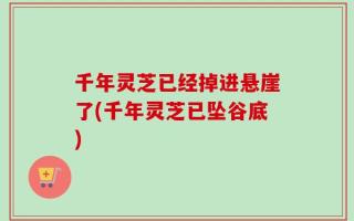 千年灵芝已经掉进悬崖了(千年灵芝已坠谷底)