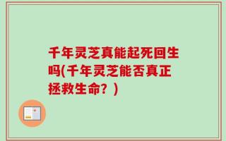 千年灵芝真能起死回生吗(千年灵芝能否真正拯救生命？)