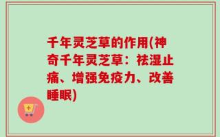 千年灵芝草的作用(神奇千年灵芝草：祛湿止痛、增强免疫力、改善睡眠)