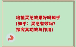 培植灵芝效果好吗知乎(知乎：灵芝有效吗？探究其功效与作用)