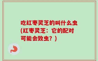 吃红枣灵芝的叫什么虫(红枣灵芝：它的配对可能会致虫？)