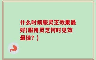 什么时候服灵芝效果最好(服用灵芝何时见效最佳？)