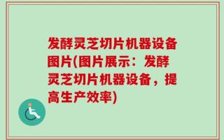 发酵灵芝切片机器设备图片(图片展示：发酵灵芝切片机器设备，提高生产效率)