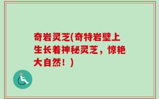 奇岩灵芝(奇特岩壁上生长着神秘灵芝，惊艳大自然！)